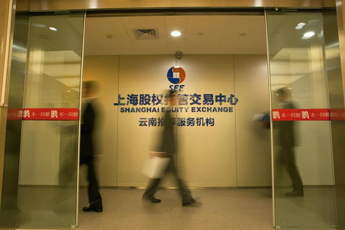 云南本一同顺投资管理 深耕本土，铸就投资管理新典范
