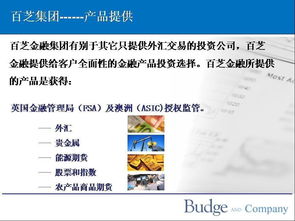 兰州中恒嘉汇投资管理咨询图册