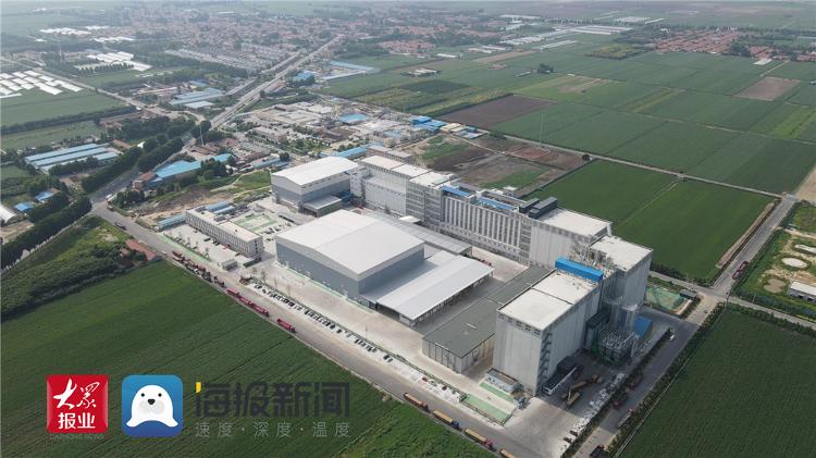 五个“世界第一”加冕，中国面粉行业首家数字化工厂在平度投产